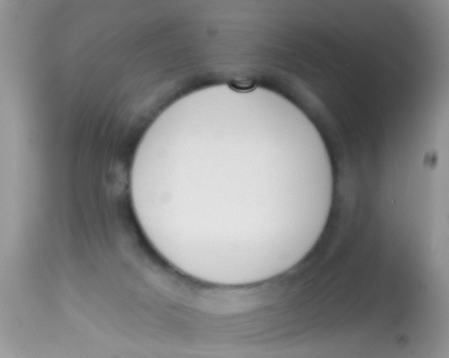 X0000113060025200909182011