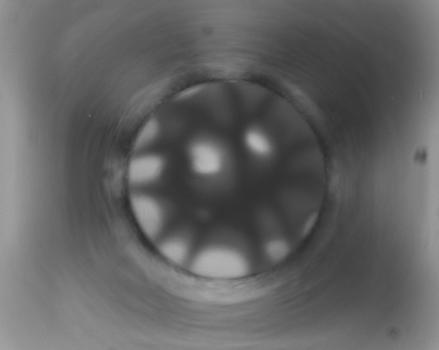 X0000113060026200909182011