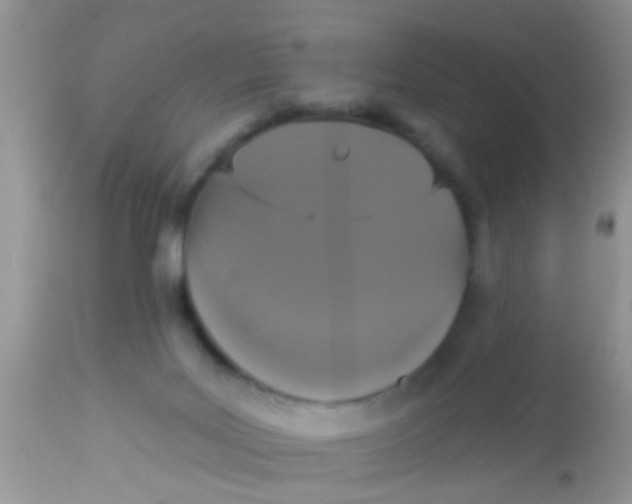 X0000113060027200909182011