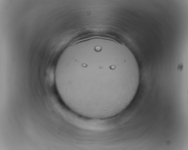 X0000113060028200909182011