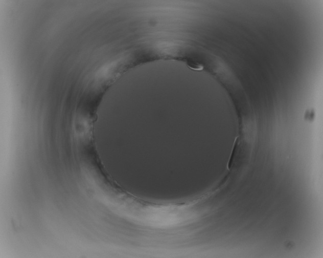 X0000113060029200909182011