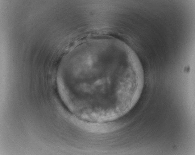 X0000113060030200909182011