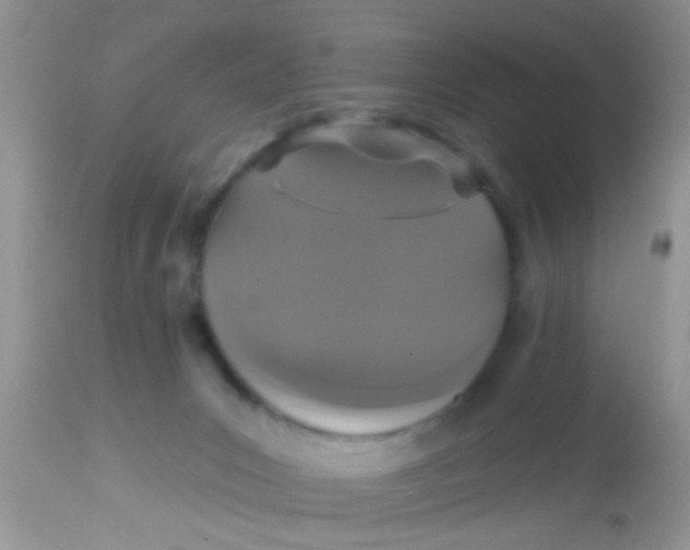 X0000113060031200909182011