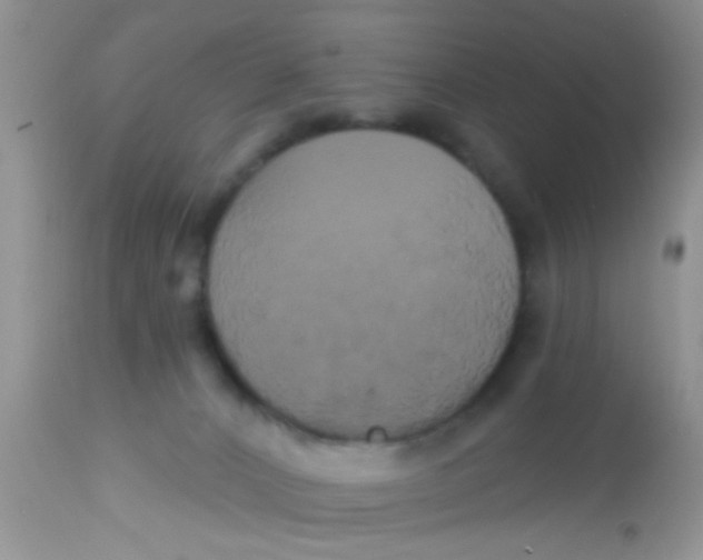 X0000113060032200909182011