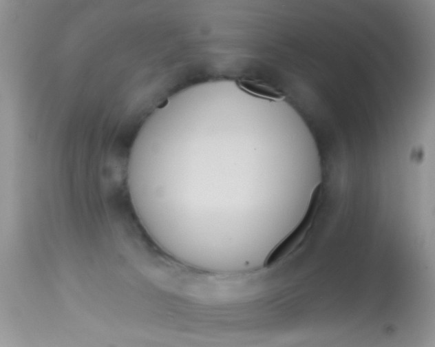 X0000113060033200909182011