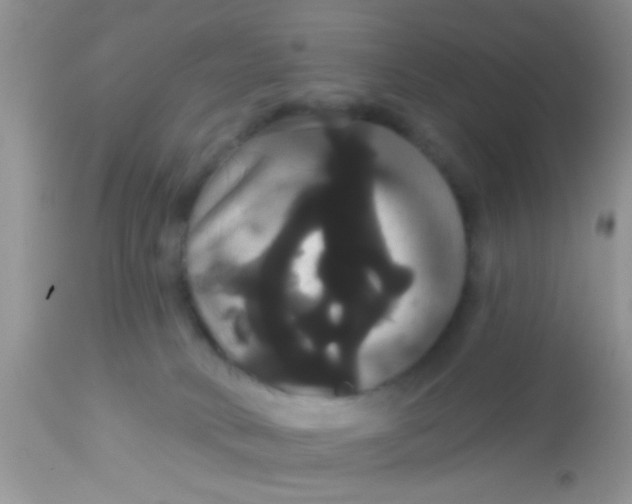 X0000113060034200909182011