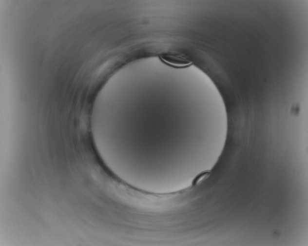 X0000113060035200909182011