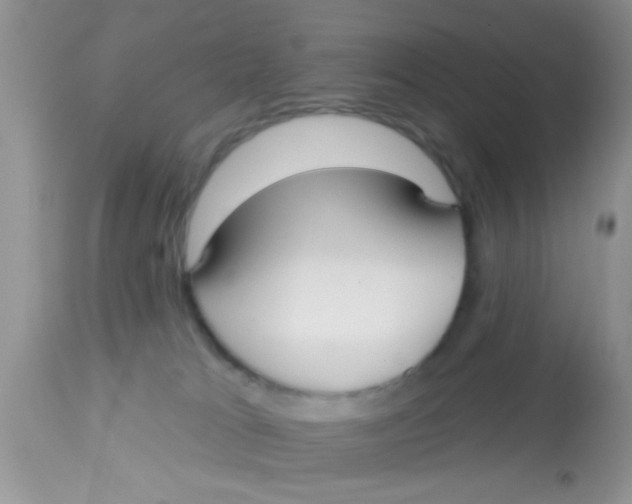 X0000113060037200909182011