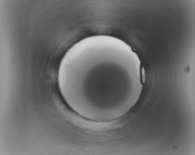 X0000113060039200909182011