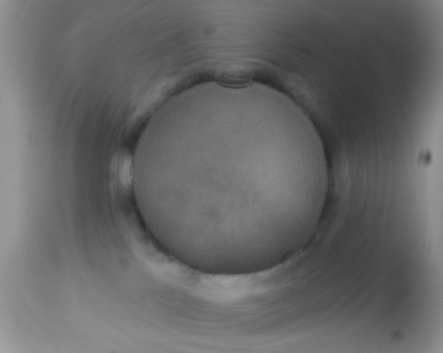 X0000113060041200909182011