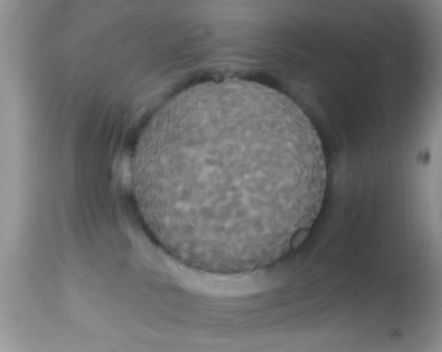 X0000113060042200909182011