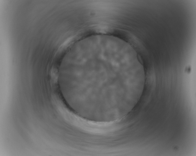 X0000113060043200909182011