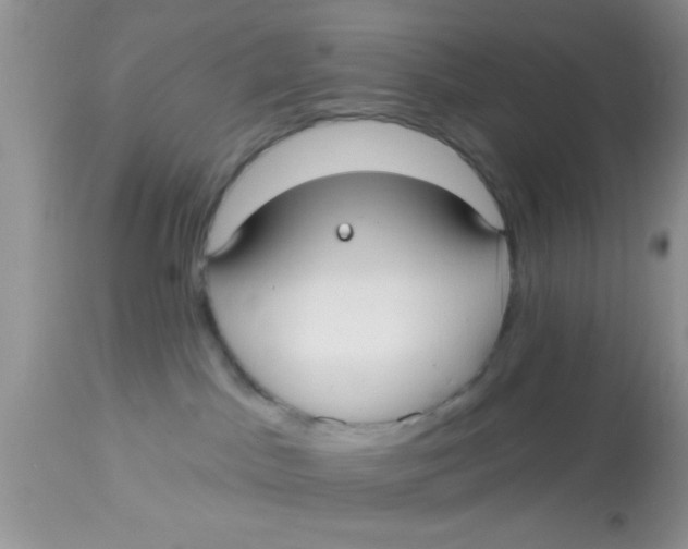 X0000113060045200909182011