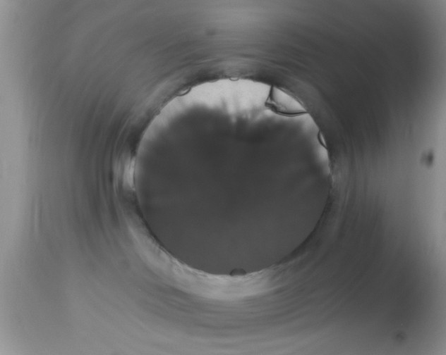 X0000113060046200909182011