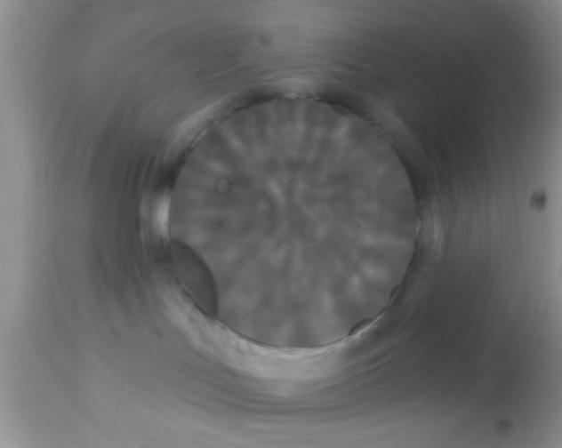 X0000113060047200909182011