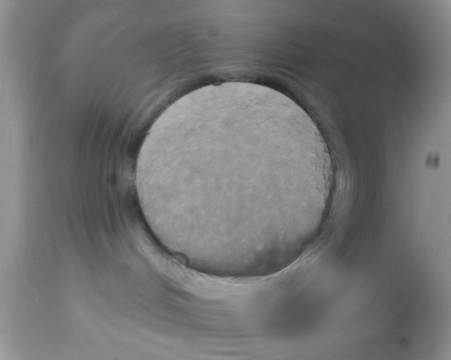 X0000113060048200909182011