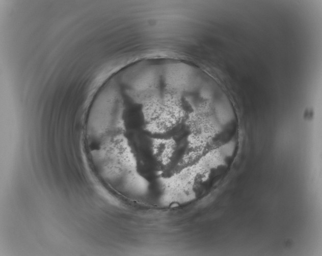 X0000113060049200909182010