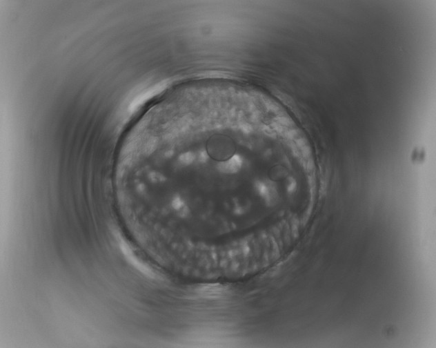 X0000113060050200909182010