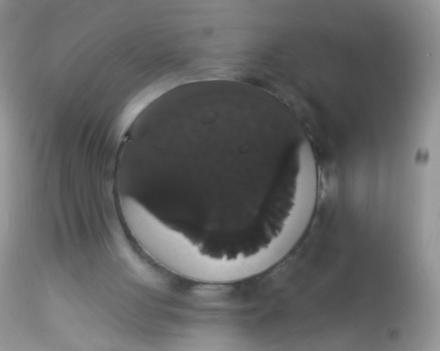 X0000113060051200909182010