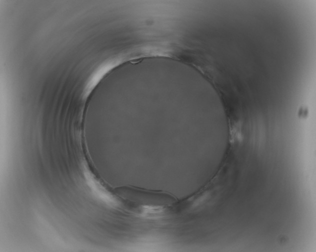 X0000113060052200909182010