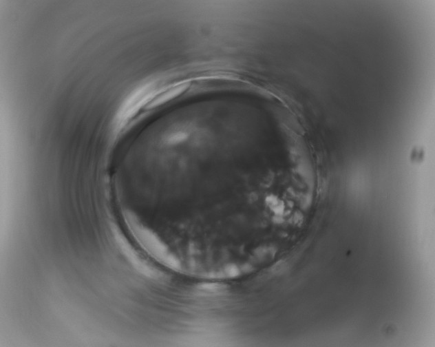 X0000113060053200909182010