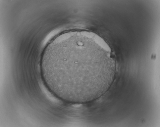 X0000113060054200909182010