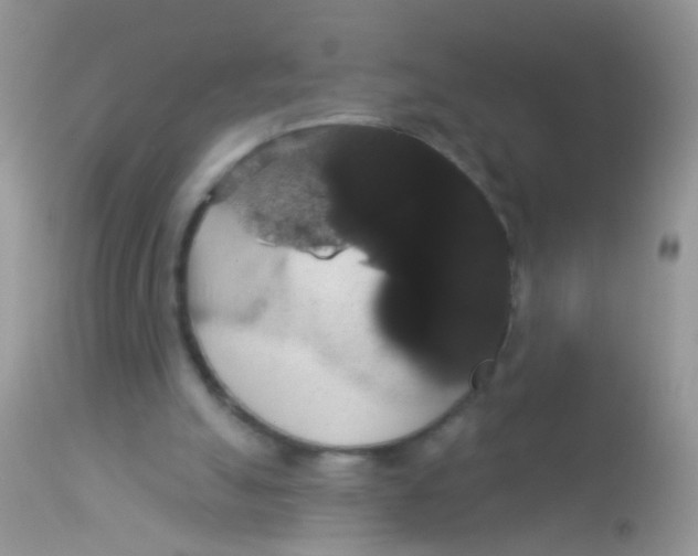 X0000113060055200909182010