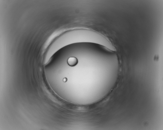 X0000113060056200909182010