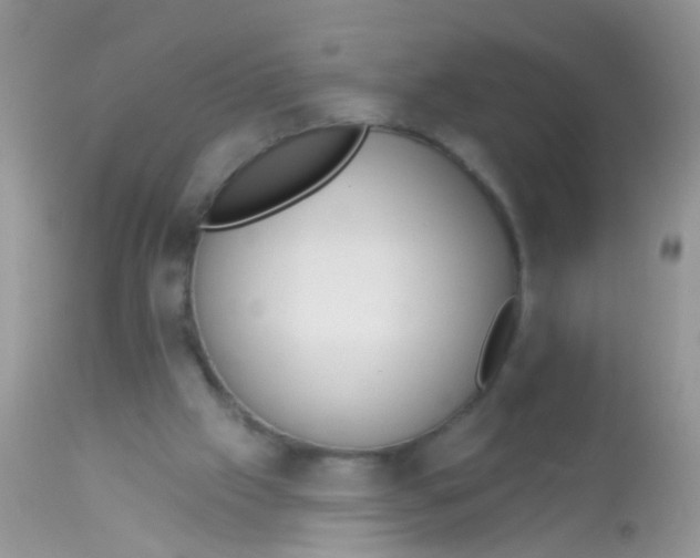 X0000113060057200909182010