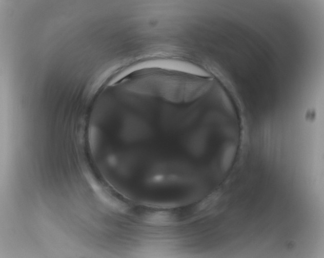 X0000113060058200909182010