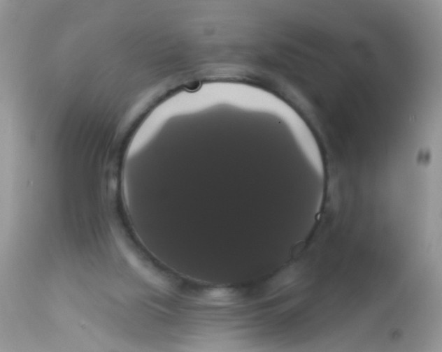 X0000113060059200909182010