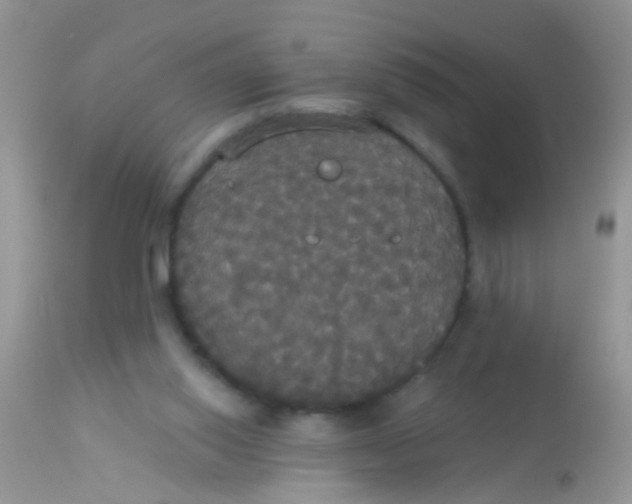 X0000113060062200909182010