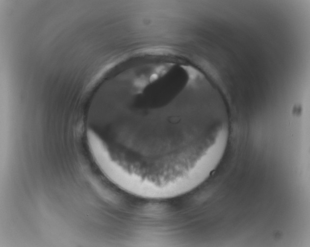 X0000113060063200909182010