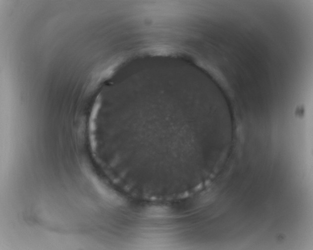 X0000113060066200909182010