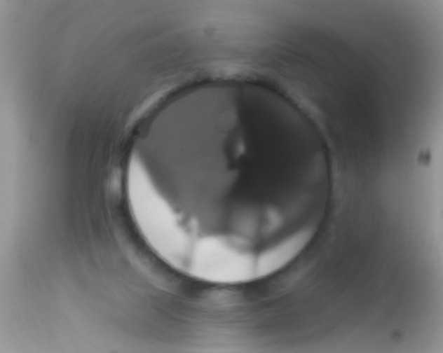 X0000113060067200909182010