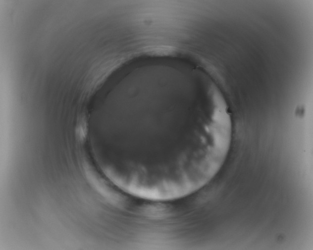 X0000113060069200909182010