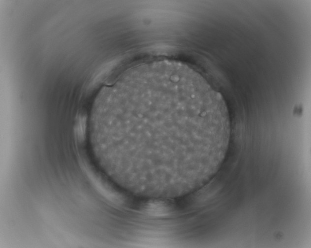 X0000113060070200909182010