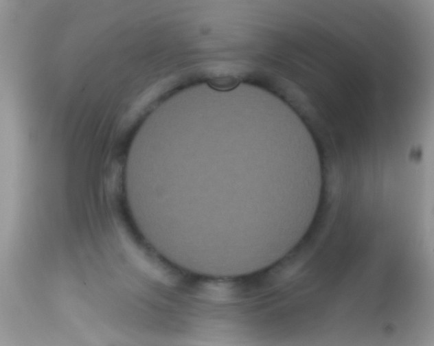 X0000113060071200909182010