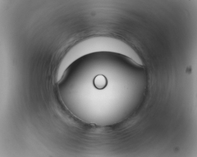 X0000113060072200909182010