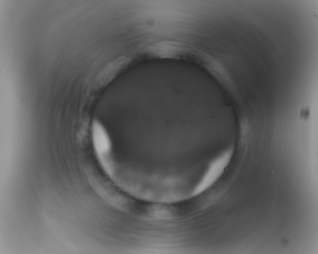 X0000113060073200909182010