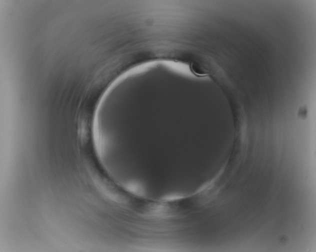 X0000113060074200909182010