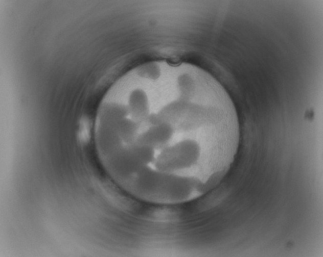 X0000113060075200909182010