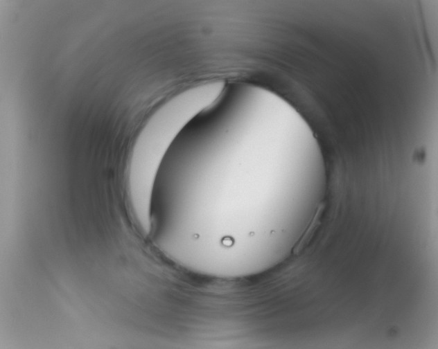 X0000113060076200909182010