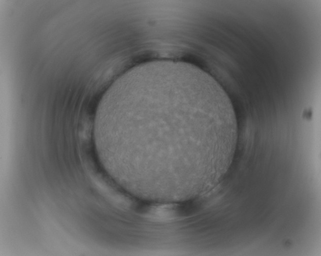 X0000113060078200909182010