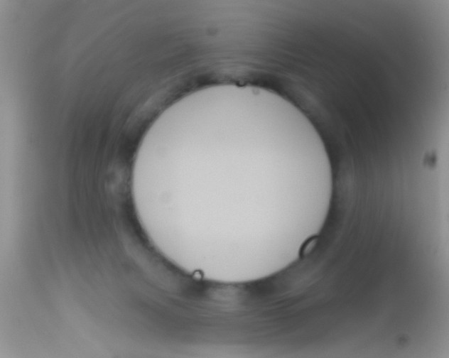 X0000113060079200909182010