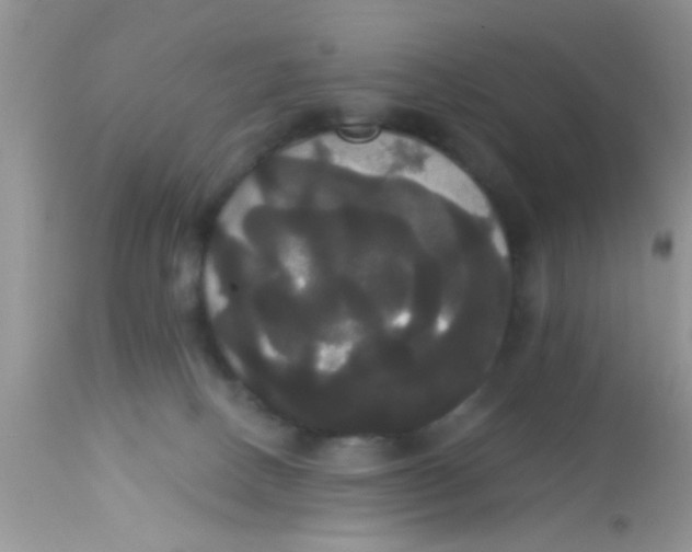 X0000113060082200909182010