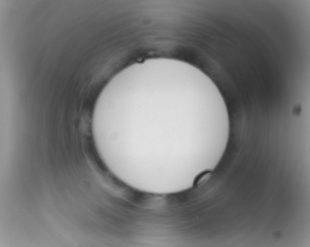 X0000113060083200909182010