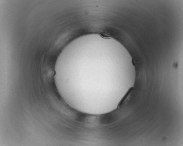 X0000113060084200909182010