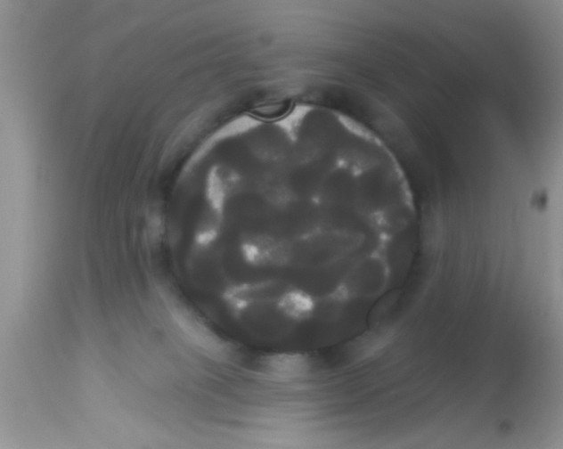 X0000113060085200909182010