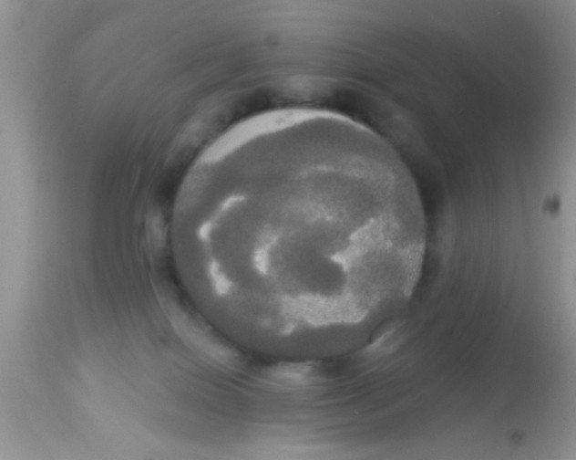 X0000113060086200909182010